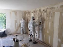 Professional Mold Removal in Sharon, PA